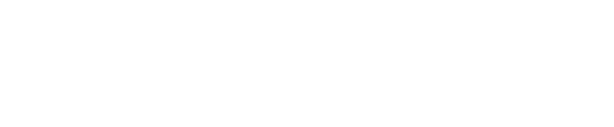 HIP HUB